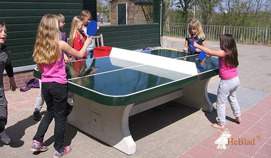 Tennis de table table de ping pong extérieur conçu et prêt à pratiquer en  plein air