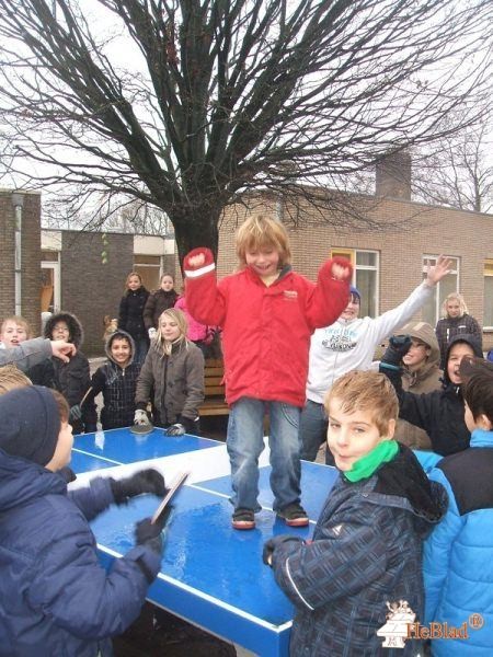 Action 4 Kids Nederland B.V. de Dalfsen