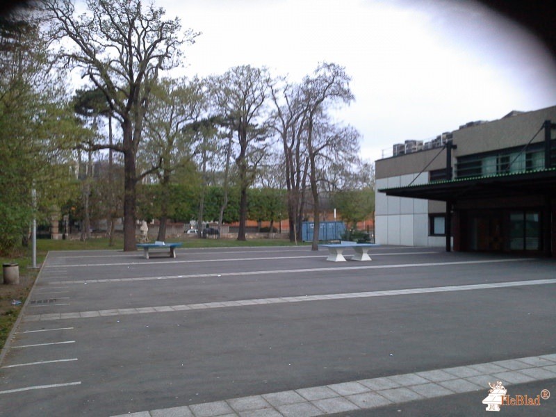 Foyer-Socio Éducatif du collège du Cédre du Vésinet (78110) de Le Vesinet