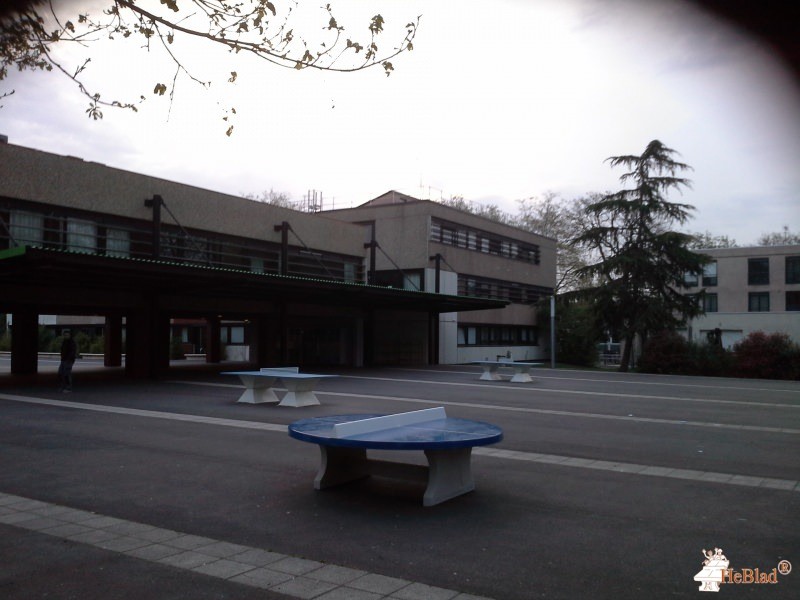 Collége du Cédre de Le Vesinet