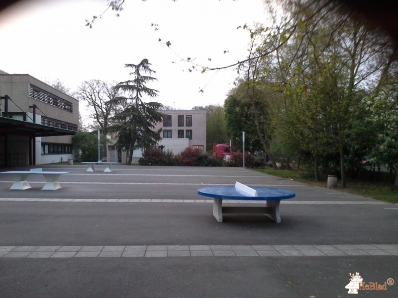 Collége du Cédre de Le Vesinet