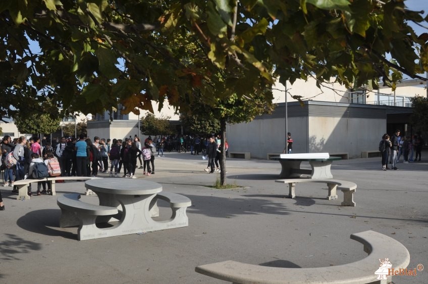 FSE du Collège de La Petite Camargue de Lansargues