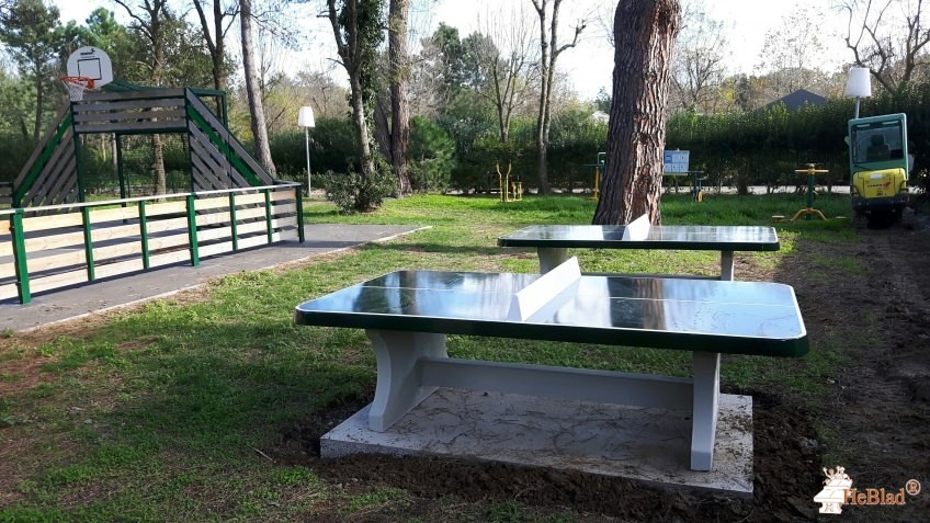 Camping les Pins de Argeles-sur-Mer