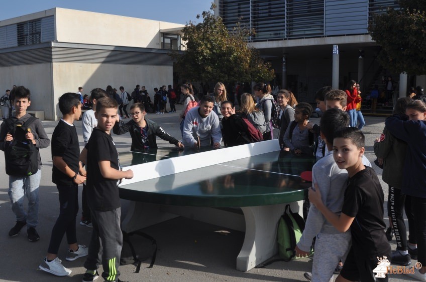 FSE du Collège de La Petite Camargue uit Lansargues