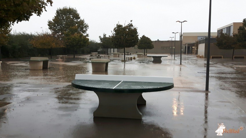 FSE du Collège de La Petite Camargue uit Lansargues