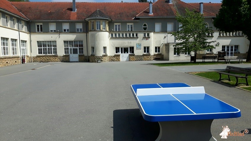 Foyer Socio Educatif  de LONGWY Haut