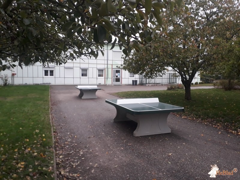 Ape Collège Lucien Pougue de Remilly