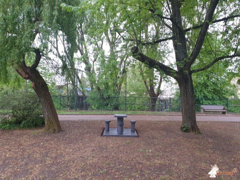 FSE collège Le Parc de Dijon
