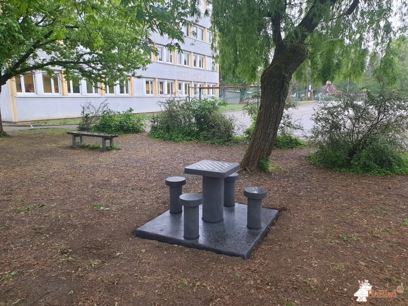 FSE collège Le Parc de Dijon
