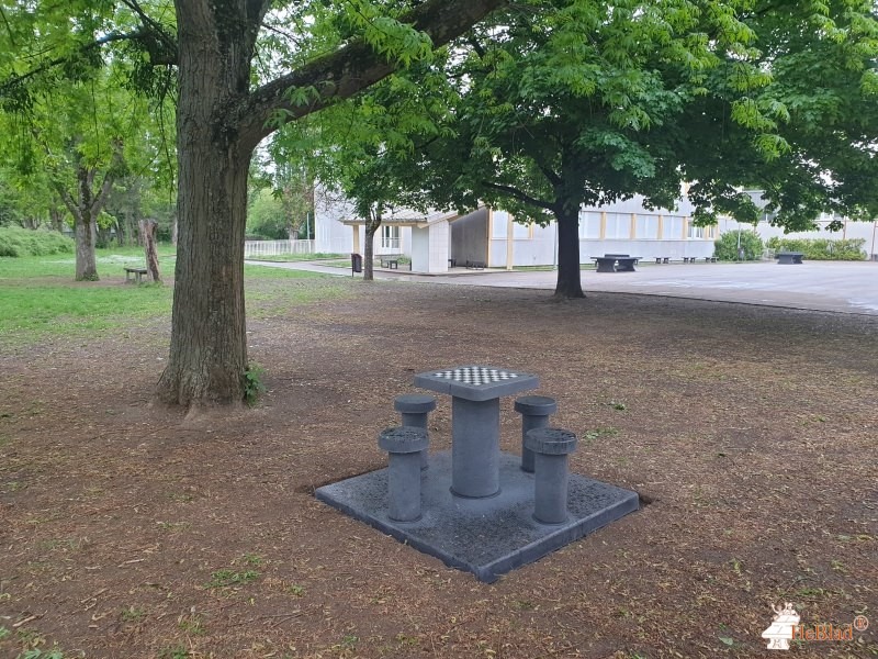 FSE collège Le Parc de Dijon