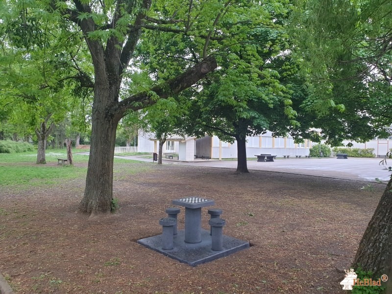 FSE collège Le Parc de Dijon