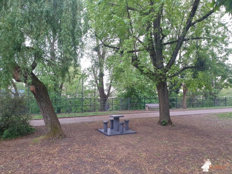 FSE collège Le Parc de Dijon