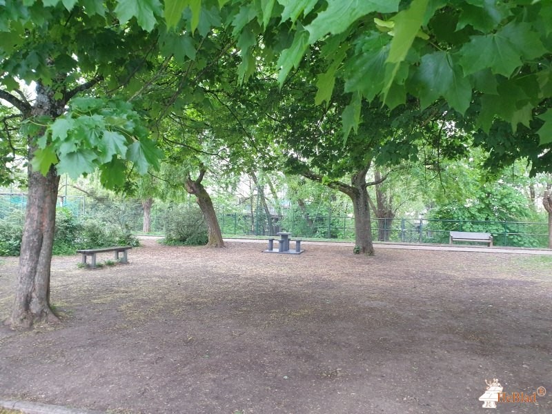 FSE collège Le Parc de Dijon