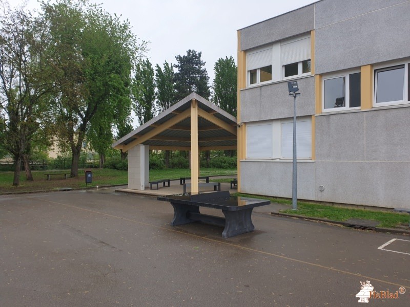 Collège Le Parc uit Dijon