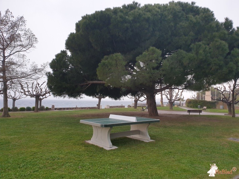 Parc ( à coté du minigolf) de Saint-Raphaël