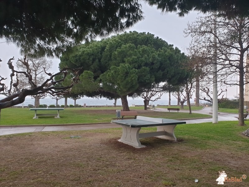 Parc ( à coté du minigolf) de Saint-Raphaël