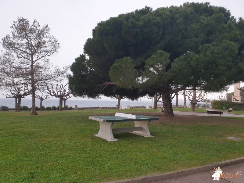 Parc ( à coté du minigolf) de Saint-Raphaël