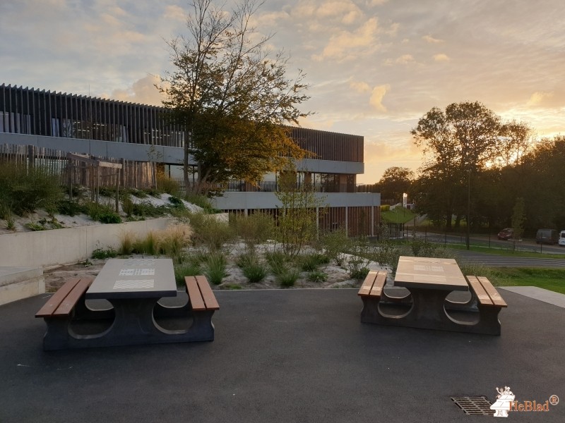 FSE collège Charles Le Goffic de Lannion