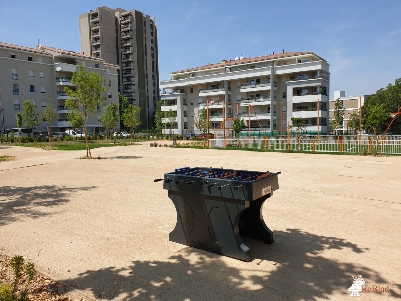 MECS Bois Fleuri de Marseille