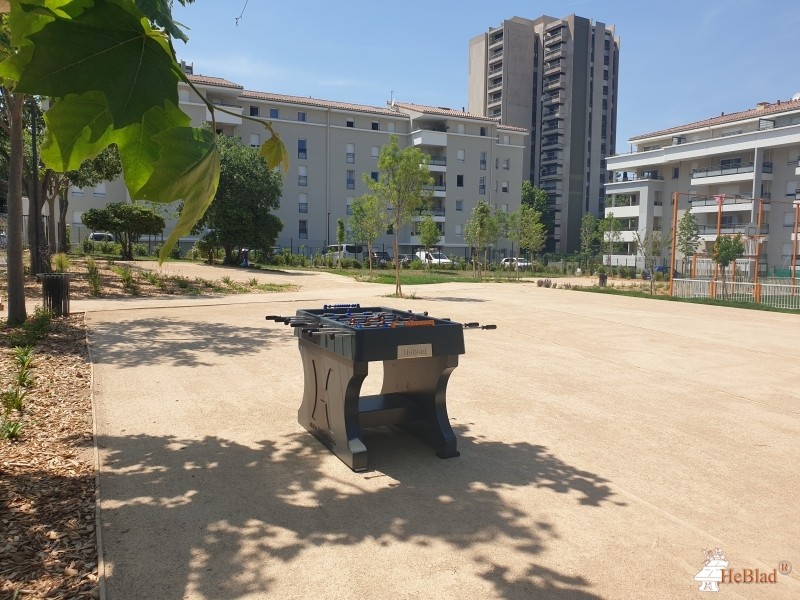 MECS Bois Fleuri de Marseille
