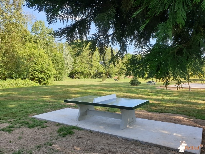Terrain de detente (a coté de l'etang) de La Noue