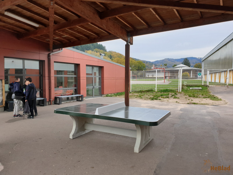 Collège René Cassin de Éloyes