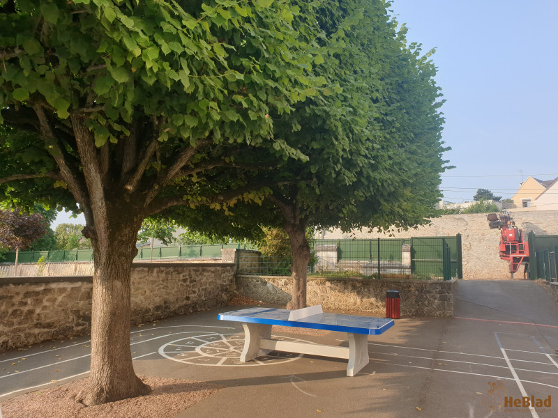 Ecole Elémentaire Schweitzer de Marly-le-Roi