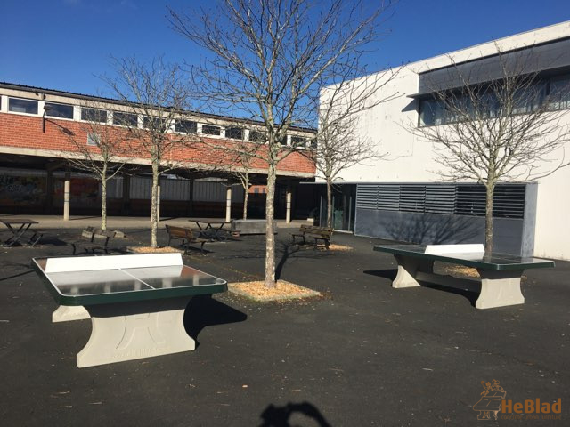 Lycee Rascol de Albi