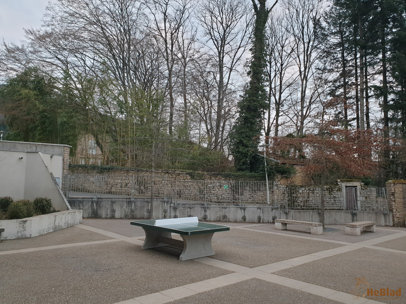 Foyer socio éducatif du collège le grand cedre de Coligny