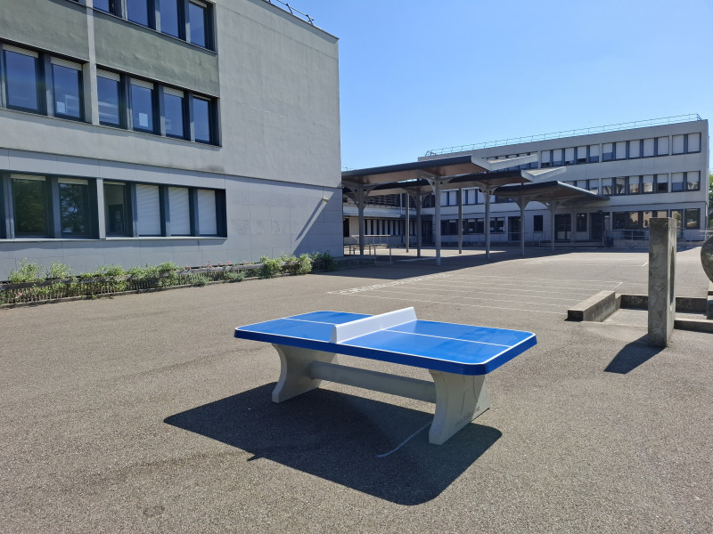 Collège Les Battières de Lyon