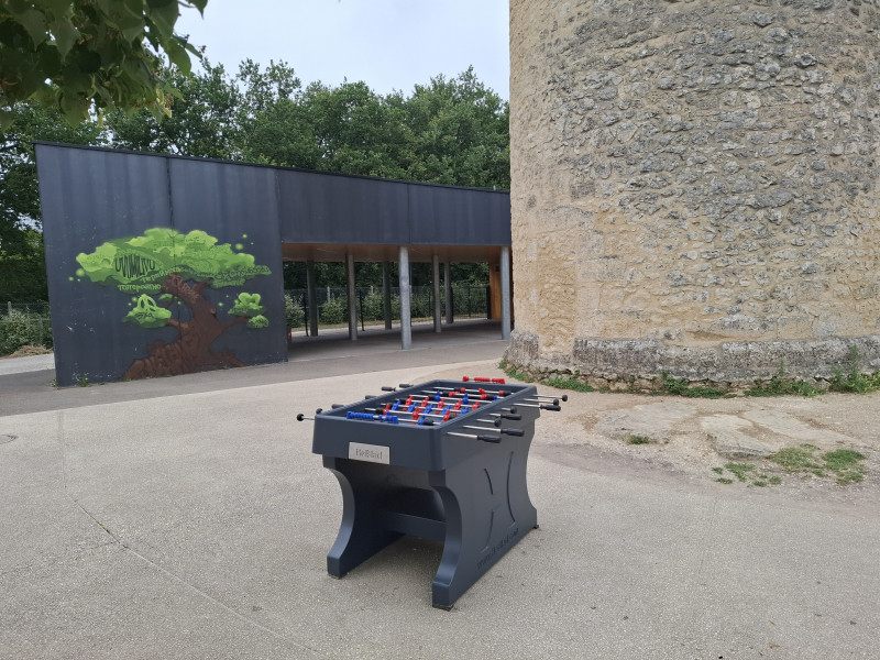Collège Léo Drouyn de Verac