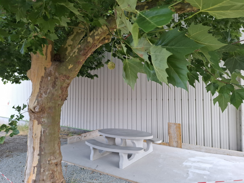 Pineau Fruits de Saint Pierre Montlimart