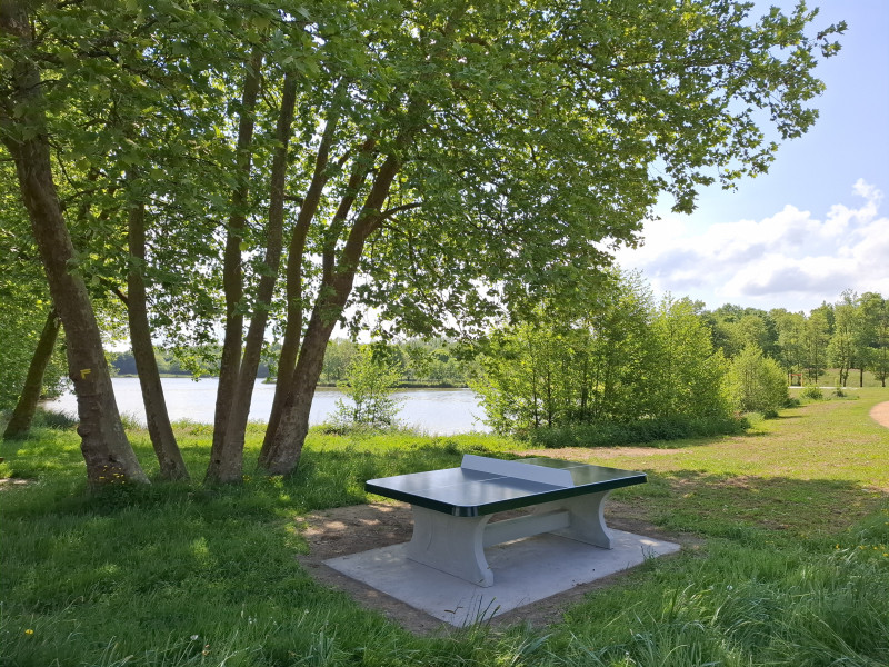 Etang de Buhel de Plessé