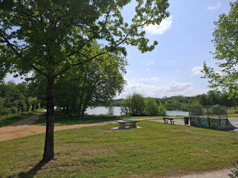 Etang de Buhel de Plessé