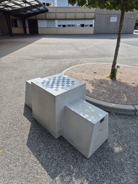 Collège Professeur d'Argent de Lyon