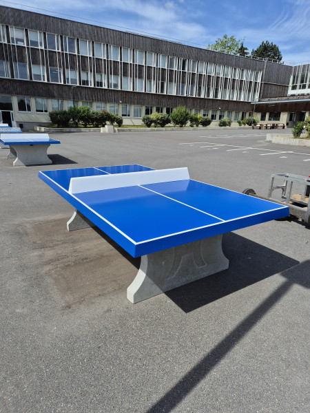 FSE collège Jean Bullant de Ecouen