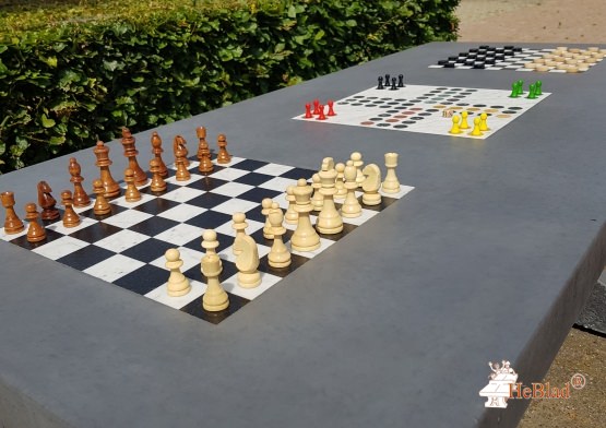 Table Multi-jeux béton Anthracite avec Echec - Dame - Ludo