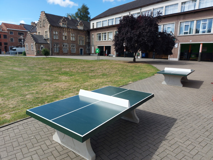 table de ping-pong verte